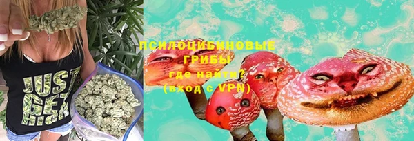 винт Вяземский