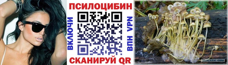 Галлюциногенные грибы MAGIC MUSHROOMS  закладка  Первомайск 